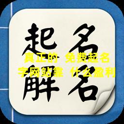 真正的  免费起名字网站靠  什么盈利